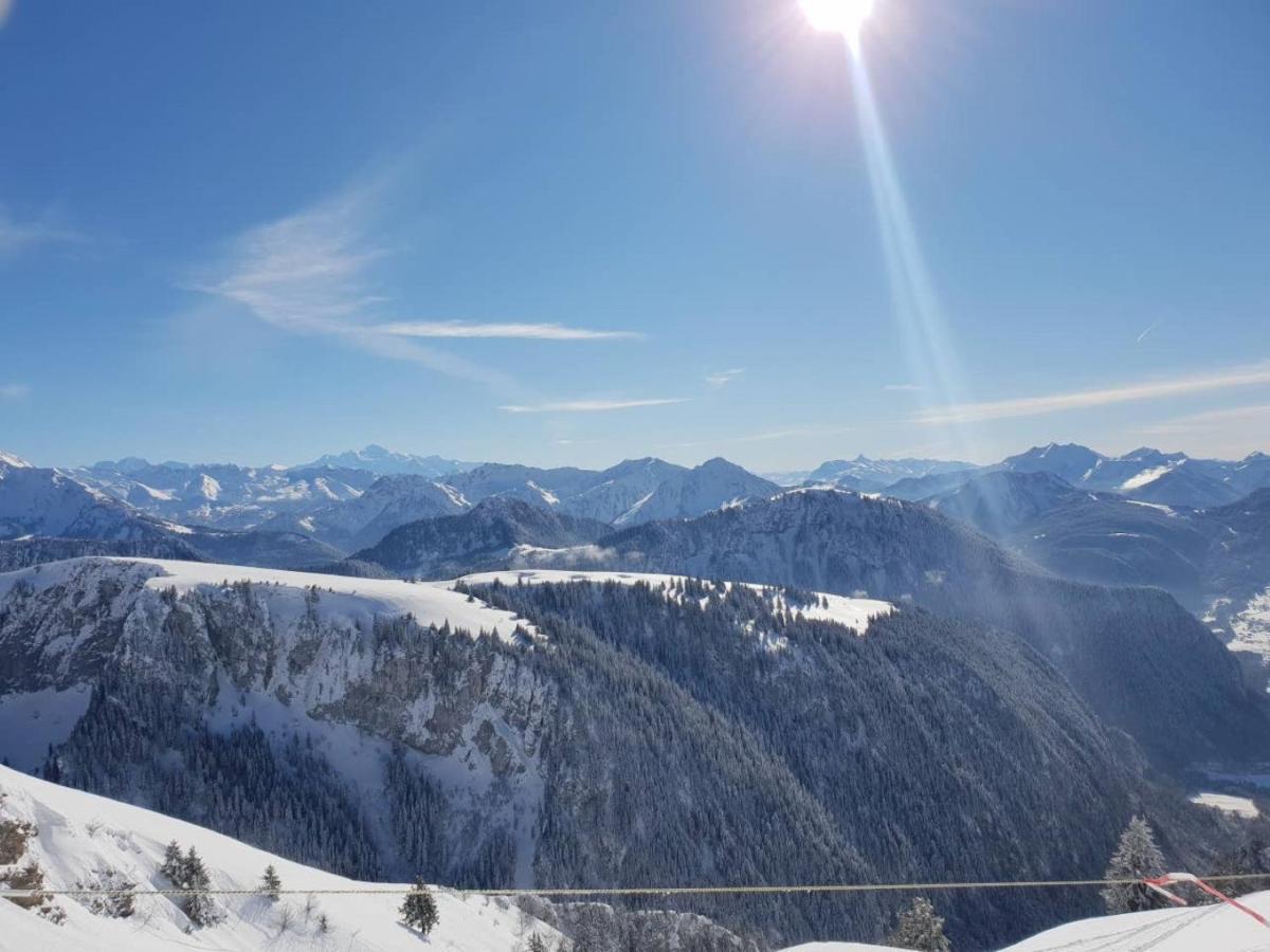 Le 67,Ski Et Randonnee,Lave Linge,Seche Linge,Parking Bernex Exterior foto